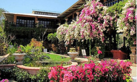 Experiencia en el Jardín Botánico